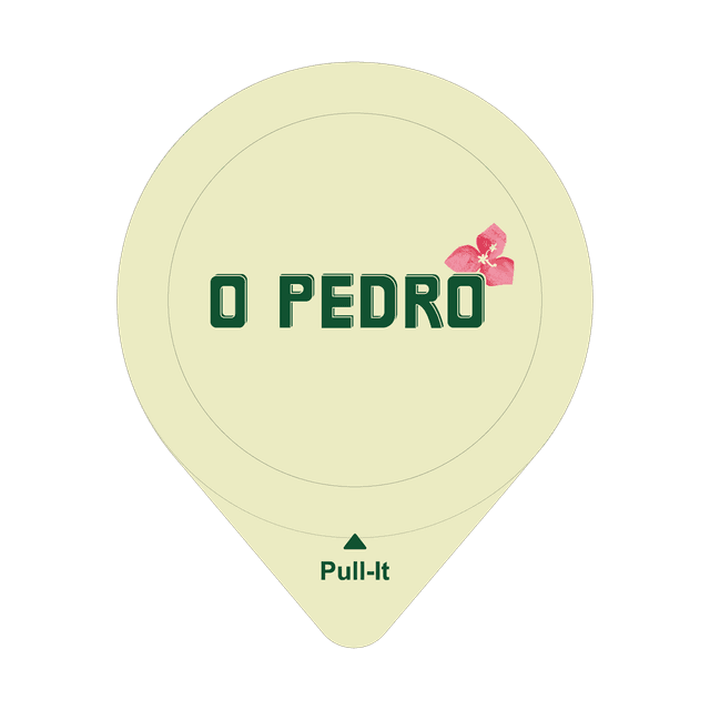 O Pedro logo